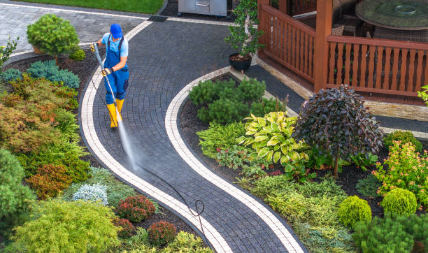 Best House Pressure Washing  in Waverly, NE